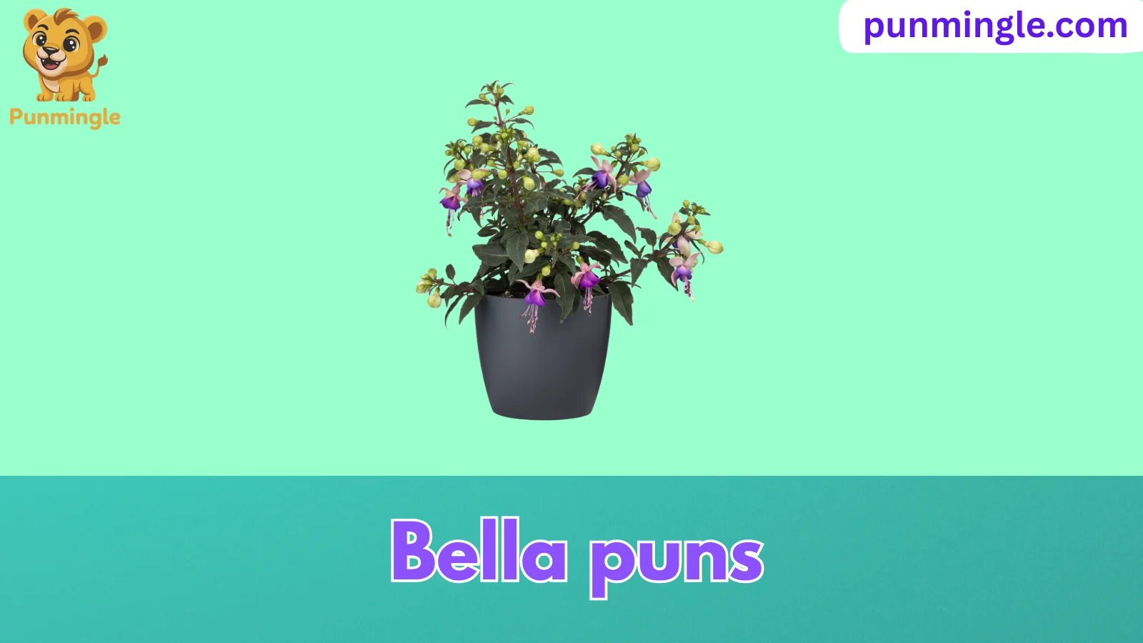 Bella puns