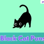 Black Cat Puns