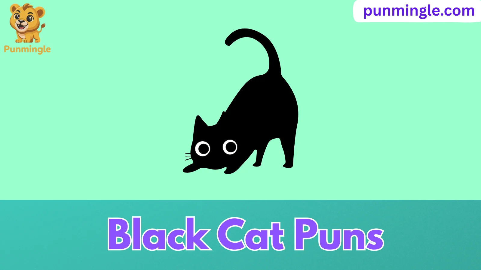 Black Cat Puns