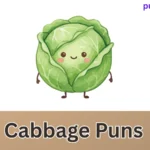 Cabbage Puns