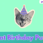 Cat Birthday Puns